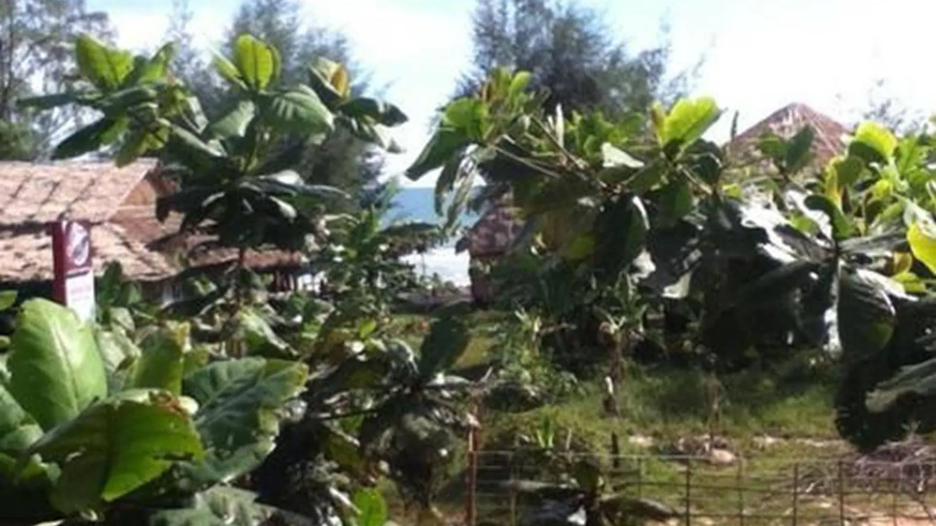 Otres Beach Resort Σίχανουκβιλ Καμπότζη